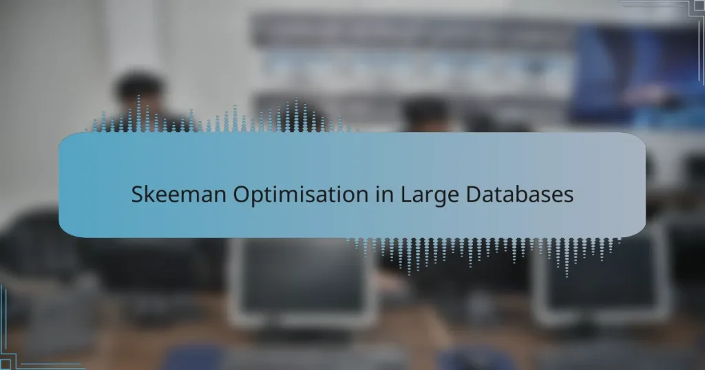 Skeeman Optimisation in Large Databases