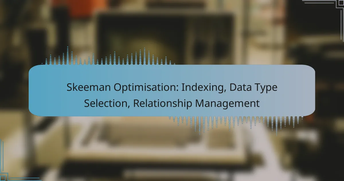 Skeeman Optimisation: Indexing, Data Type Selection, Relationship Management