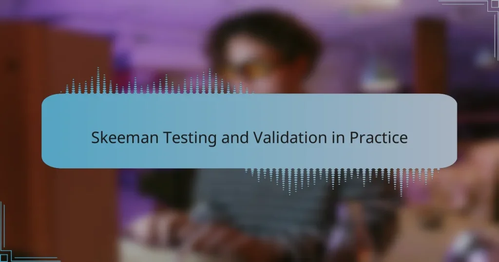 Skeeman Testing and Validation in Practice