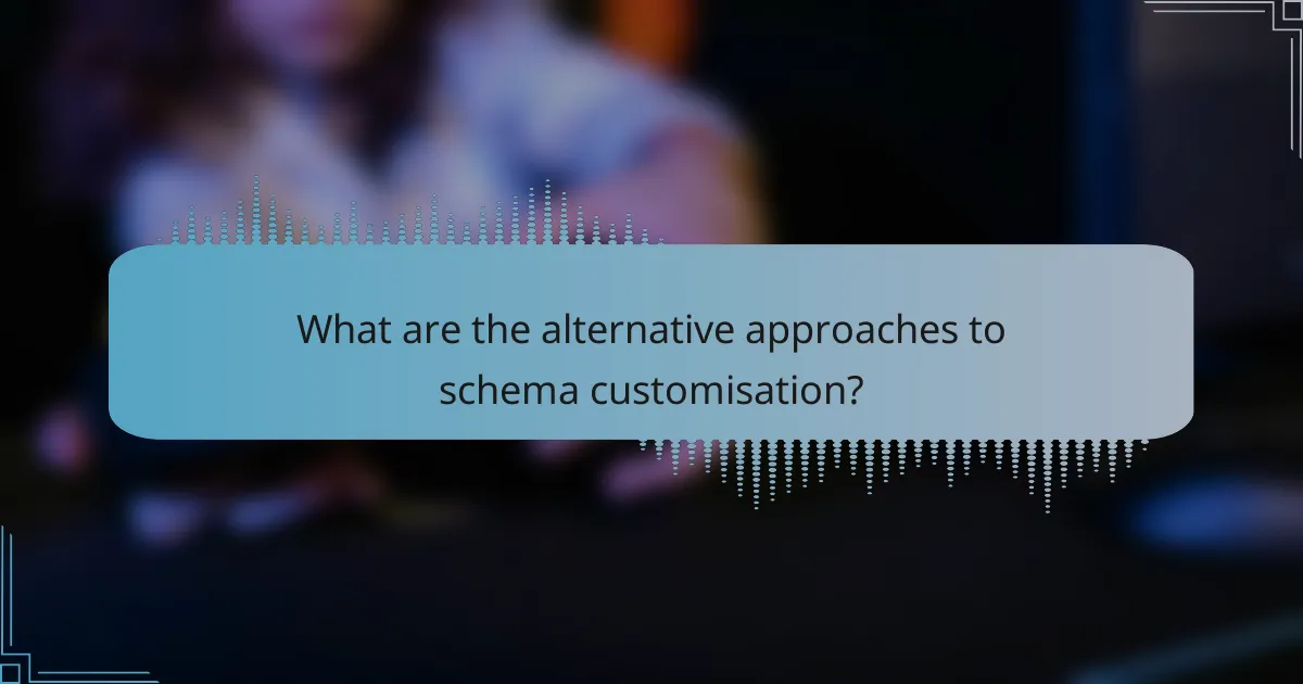 What are the alternative approaches to schema customisation?